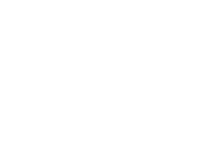 Arch Pro